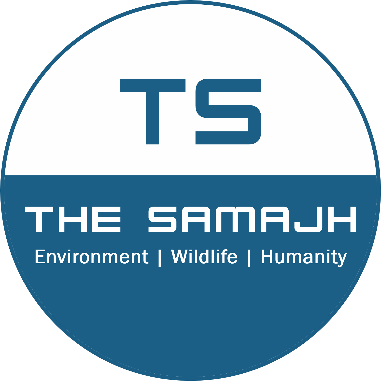 TS Logo